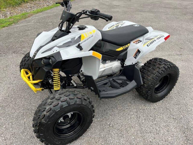 Can-Am Renegade 110 EFI Image