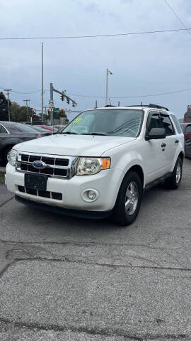 2011 Ford Escape XLT