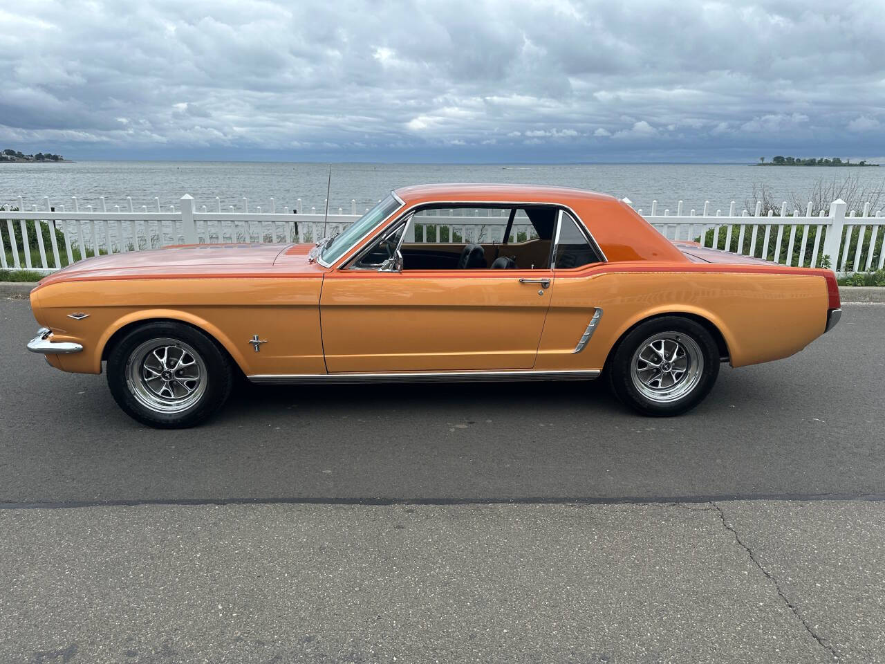 1965 Ford Mustang 4