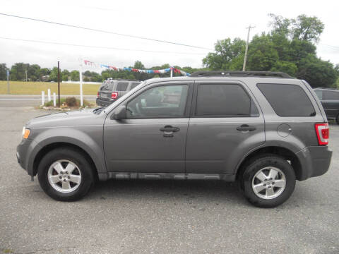 2011 Ford Escape XLT