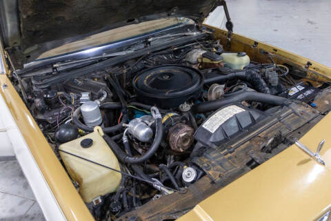 1979 Oldsmobile Cutlass