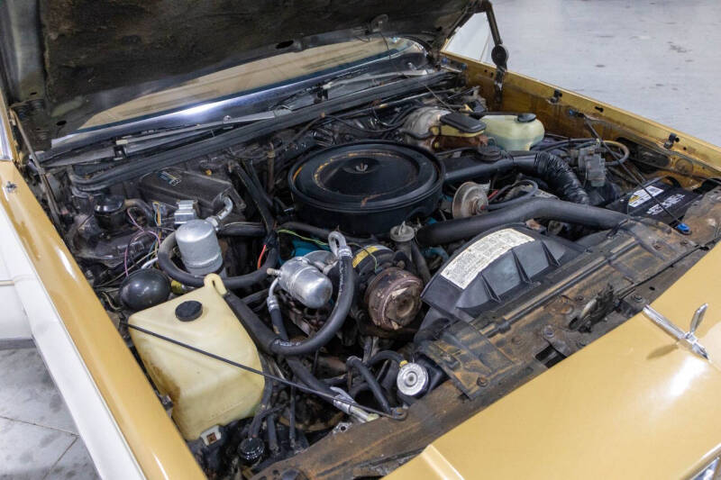 1979 Oldsmobile Cutlass