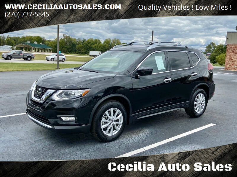 2019 Nissan Rogue for sale at Cecilia Auto Sales in Elizabethtown KY