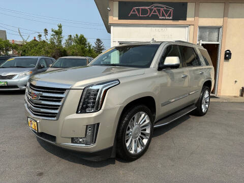 2015 Cadillac Escalade for sale at ADAM AUTO AGENCY in Rensselaer NY