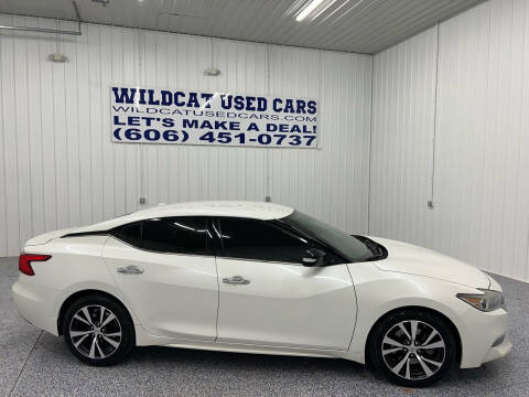 2016 Nissan Maxima for sale at Wildcat Used Cars in Somerset KY