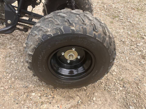 2016 Tao Tao Rhino 250