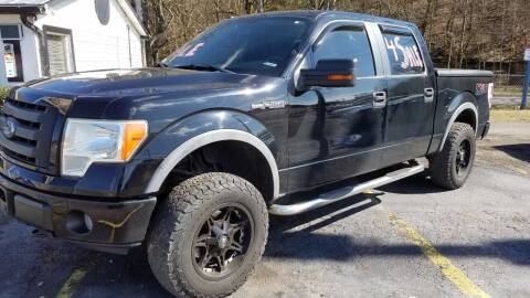 2009 Ford F-150 for sale at GT Auto Group in Goodlettsville TN