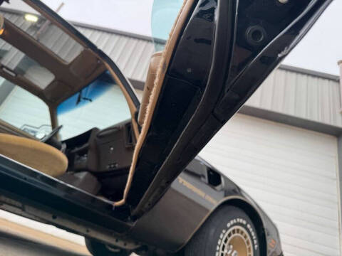 1981 Pontiac Firebird Trans Am