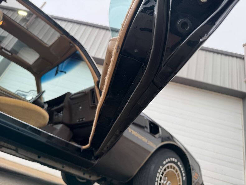 1981 Pontiac Firebird Trans Am