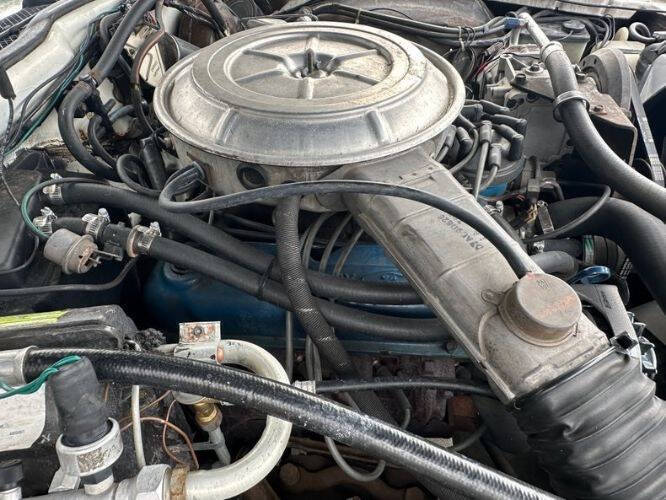 1977 Ford Thunderbird