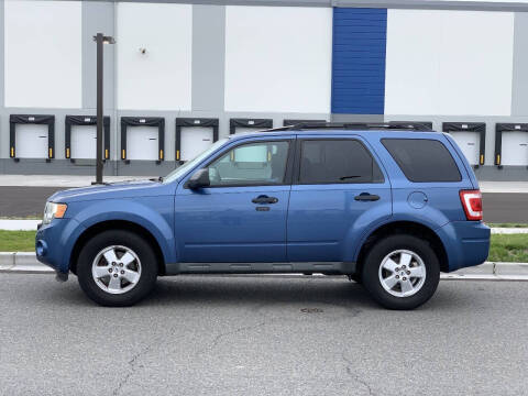 2009 Ford Escape XLT
