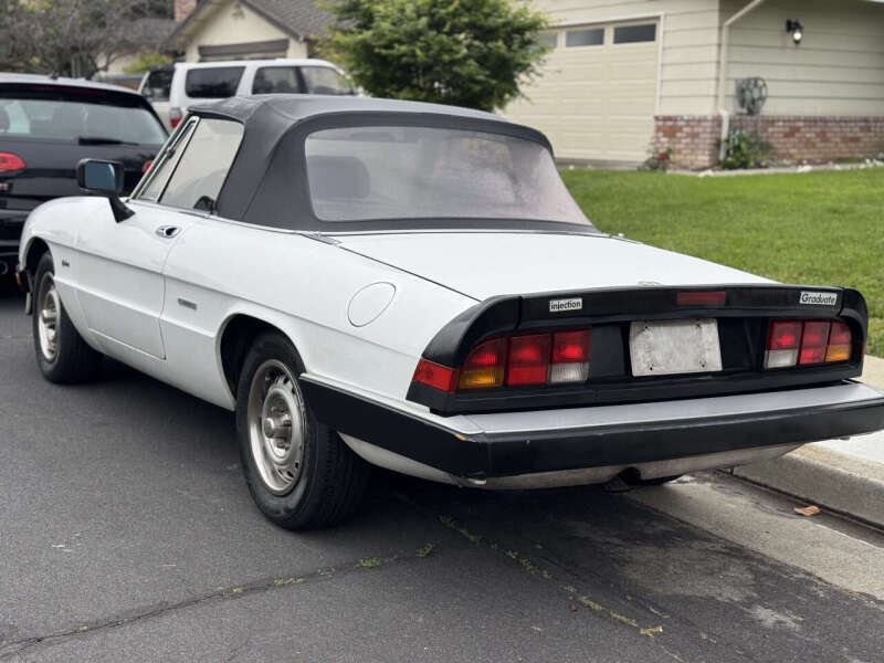 Image 3 of 1986 Alfa Romeo Spider Veloce