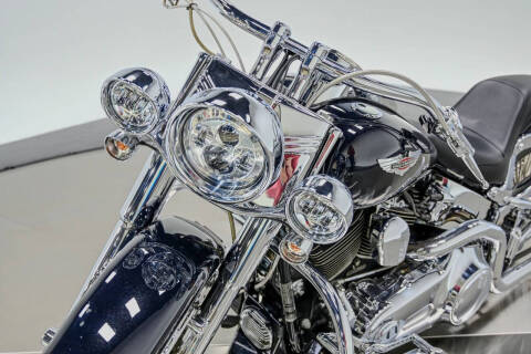 2009 Harley-Davidson FLTSN