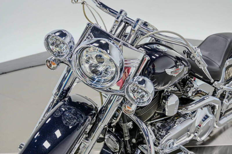 2009 Harley-Davidson FLTSN