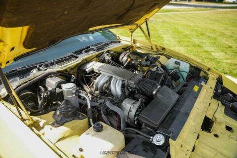 1985 Pontiac Firebird Trans Am