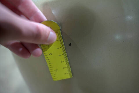 1972 International Travelall