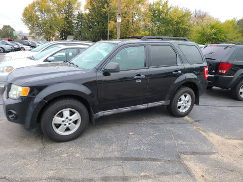 2009 Ford Escape XLT