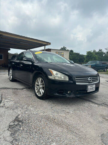 2010 Nissan Maxima for sale at S&P AUTO SALES in Houston TX