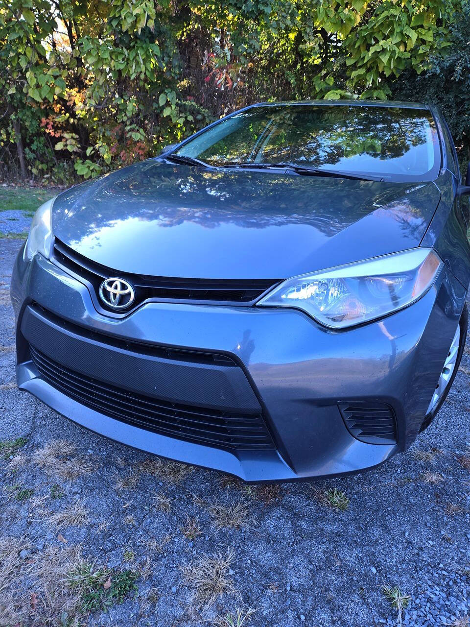 2014 Toyota Corolla for sale at Taylor Preowned Autos in Highland, NY