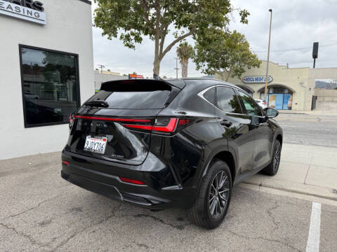 2024 Lexus NX 250