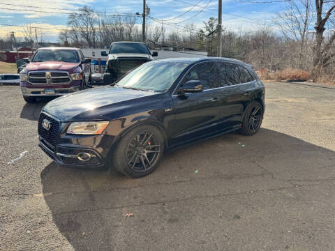 2015 Audi SQ5