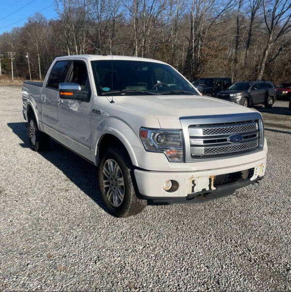 2013 Ford F-150 Platinum photo 8