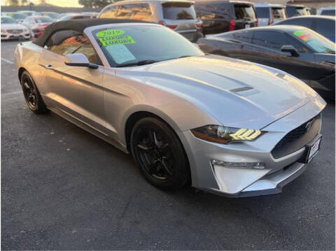 2019 Ford Mustang