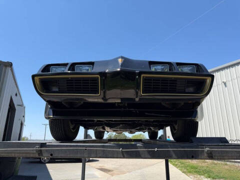 1981 Pontiac Firebird Trans Am