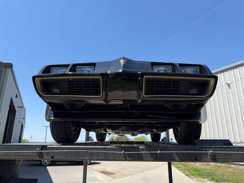 1981 Pontiac Firebird Trans Am