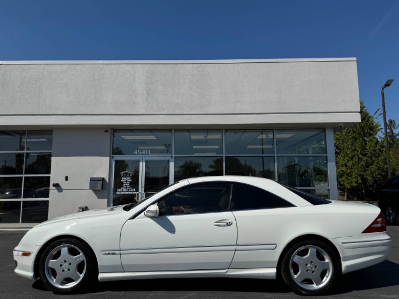 2002 Mercedes-Benz CL-Class for sale at Opus Motorcars in Utica, MI