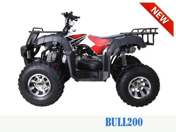 2023 TAO MOTOR BULL 200 for sale at Advanti Powersports in Mesa, AZ