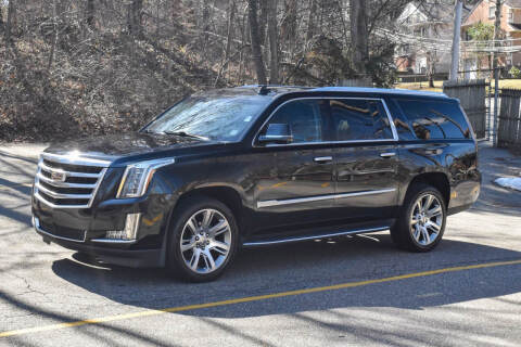 2019 Cadillac Escalade ESV for sale at Import Masters in Great Neck NY