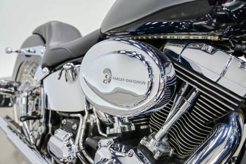 2009 Harley-Davidson FLTSN