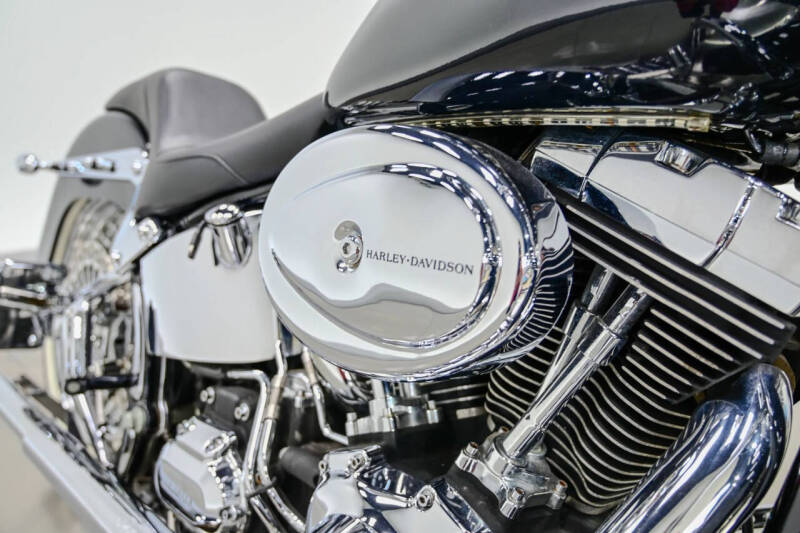 2009 Harley-Davidson FLTSN