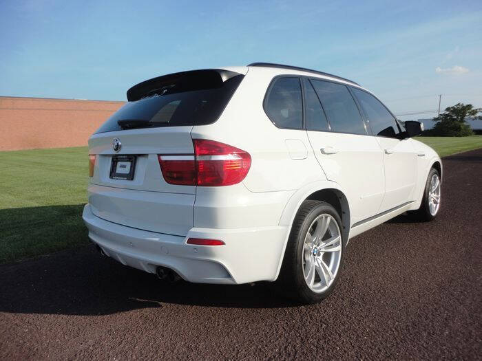 2010 BMW X5 M