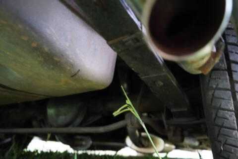 1976 Pontiac Firebird Trans Am