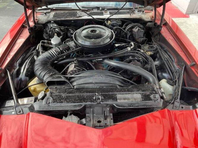 1978 Chevrolet Camaro