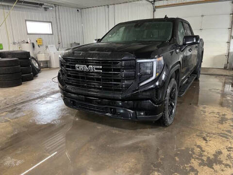 2023 GMC Sierra 1500 for sale at Monster Motors in Michigan Center MI