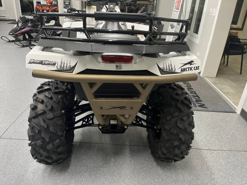 2024 Arctic Cat Alterra 600