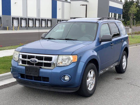2009 Ford Escape XLT