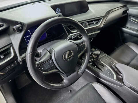 2019 Lexus UX 250h