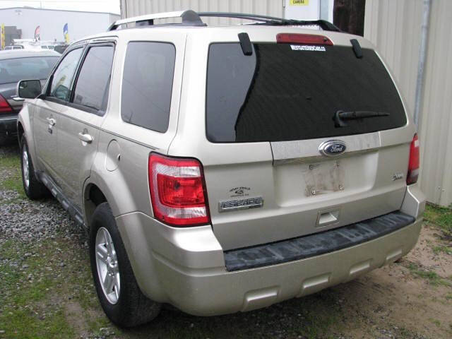 2010 Ford Escape Limited