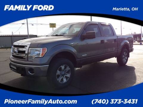 2013 Ford F-150 for sale at Pioneer Family Preowned Autos of WILLIAMSTOWN in Williamstown WV