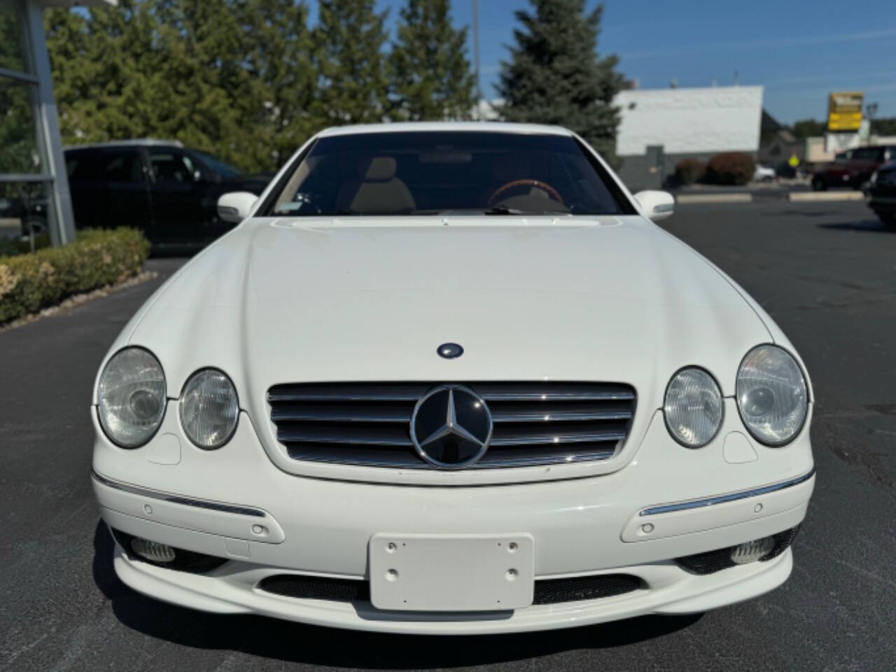 2002 Mercedes-Benz CL-Class for sale at Opus Motorcars in Utica, MI