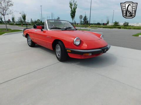 1984 Alfa Romeo Spider Veloce
