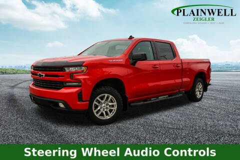 2019 Chevrolet Silverado 1500 for sale at Zeigler Ford of Plainwell- Jeff Bishop in Plainwell MI