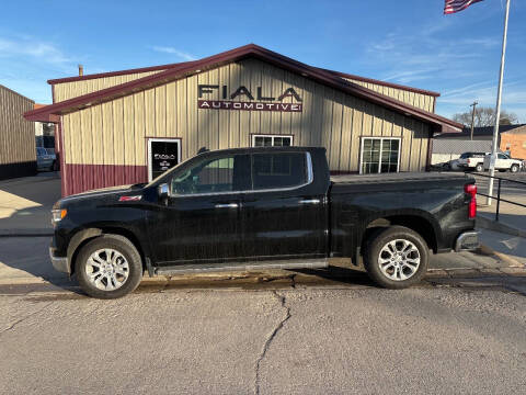 2022 Chevrolet Silverado 1500 for sale at Fiala Automotive in Howells NE