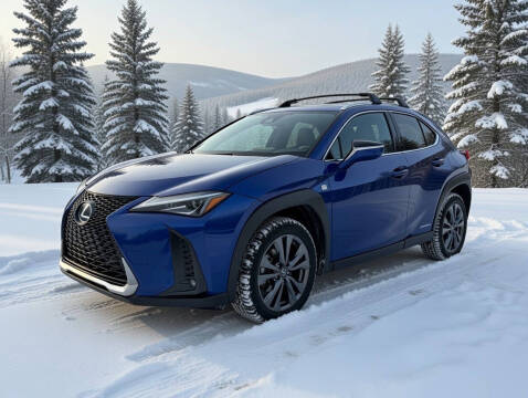 2020 Lexus UX 250h F SPORT