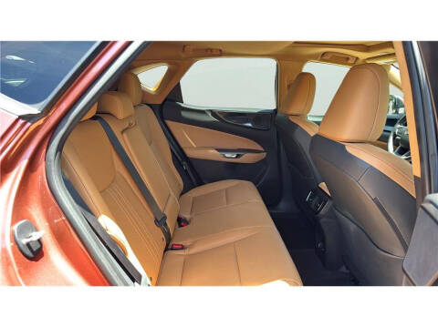 2025 Lexus NX 250