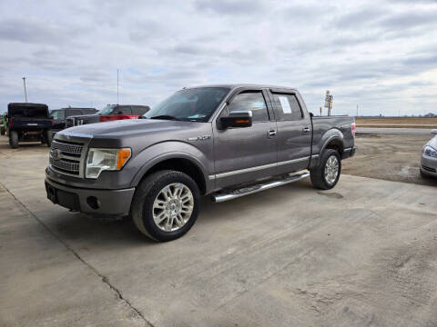 2011 Ford F-150 for sale at McEwen Auto Sales in Anabel MO